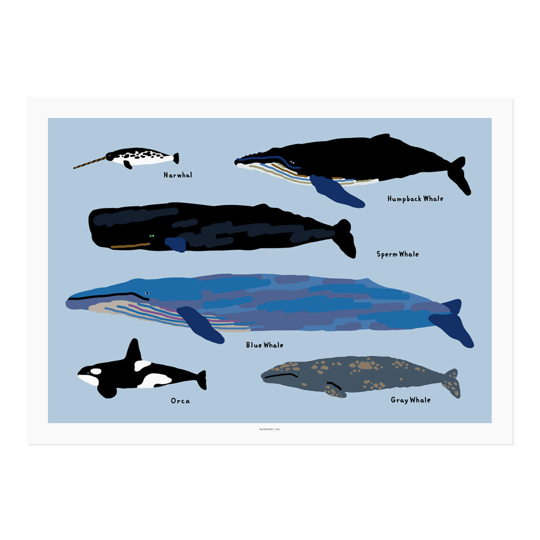 WHALES POSTER