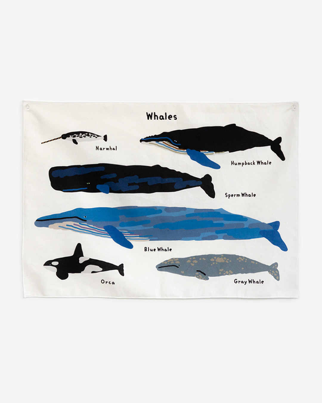 WHALES FABRIC